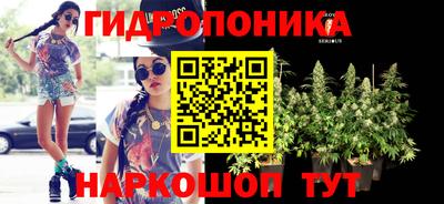 гашик Севастополь