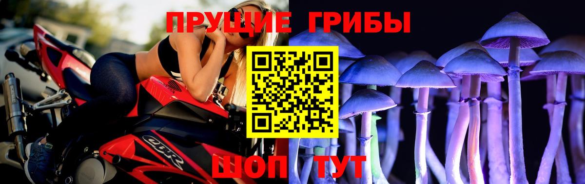 Галлюциногенные грибы Psilocybe  Вход с VPN  Галлюциногенные грибы Psilocybine cubensis  Ростов Великий 